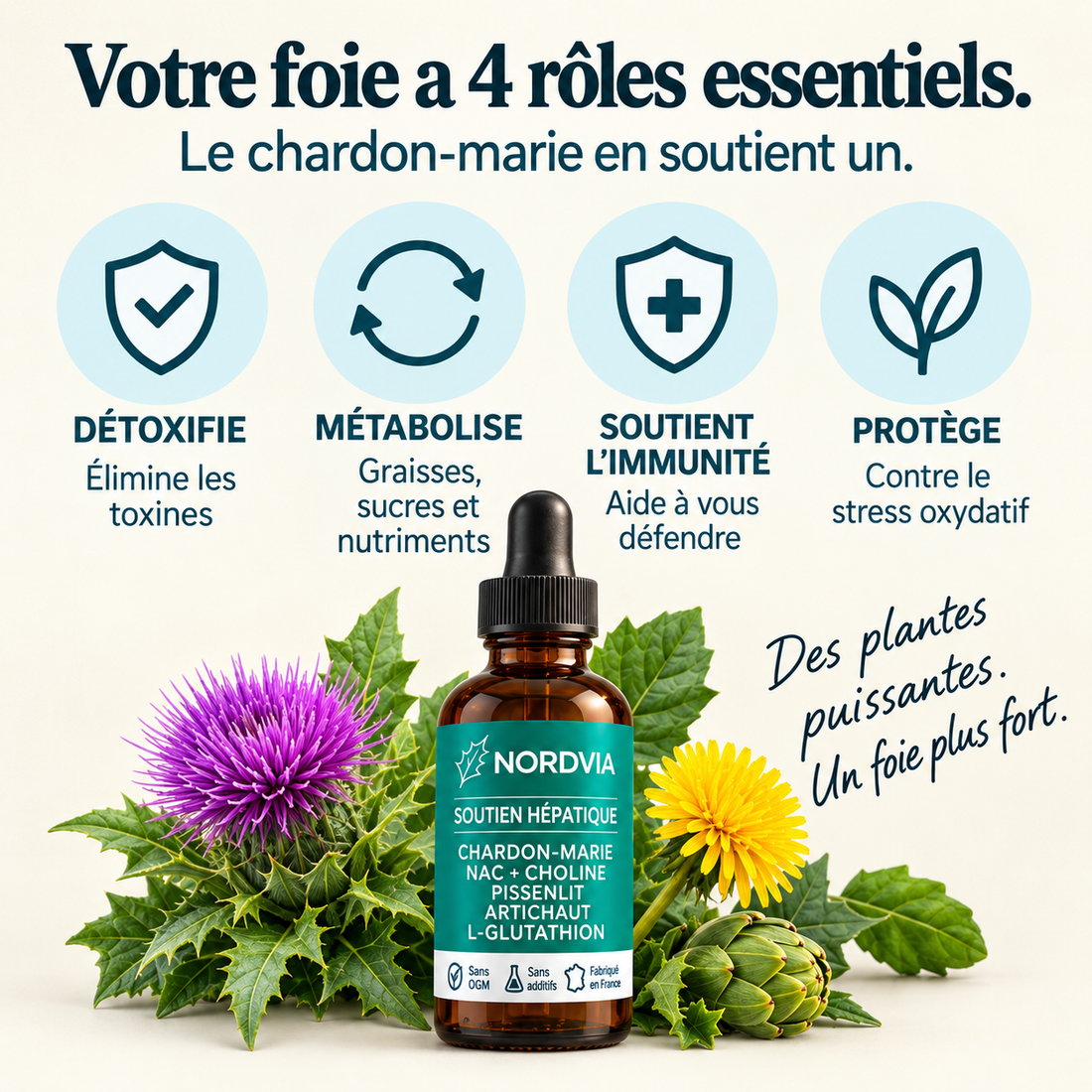 Complete Liver Support