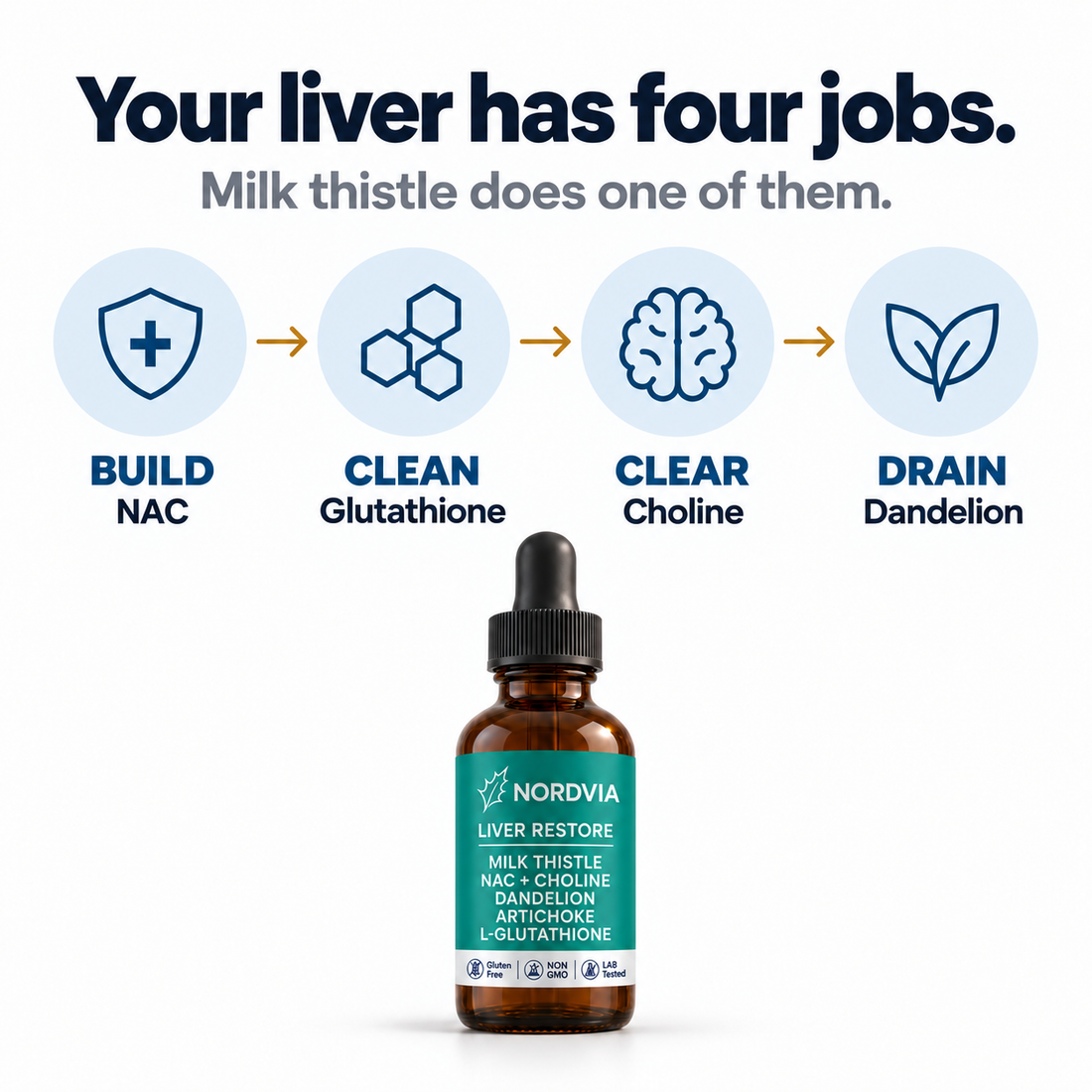 Your liver has four jobs - milk thistle does one of them