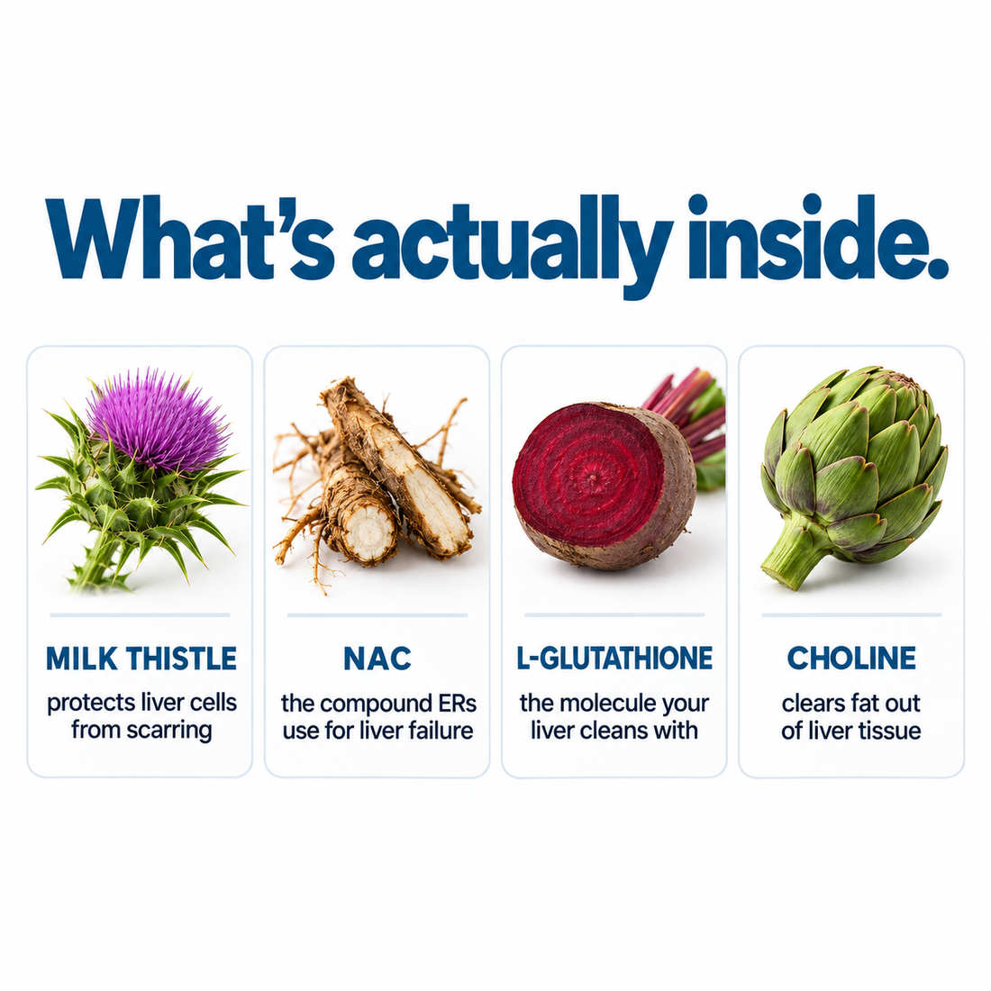 What's actually inside - milk thistle, dandelion, beetroot, artichoke