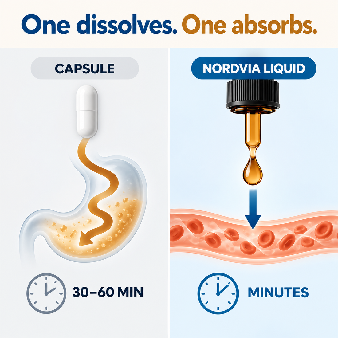 One dissolves. One absorbs. Capsule versus Nordvia liquid